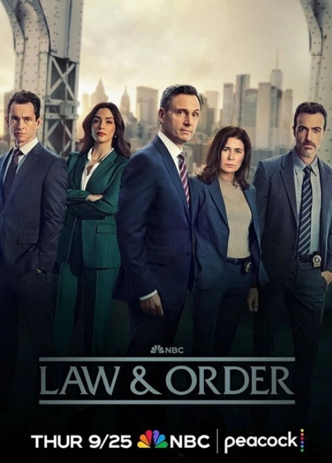 法律与秩序 第二十五季