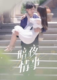 暗夜情事