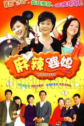 麻辣婆媳[电影解说]